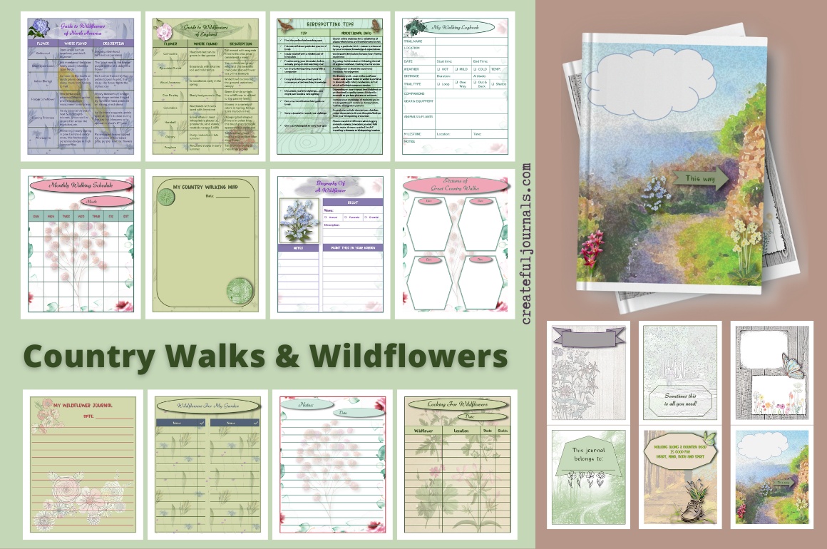 Country Walks Wild Flowers