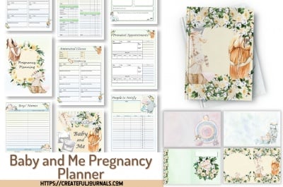 Baby and Me Pregnancy Planner