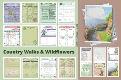 Country Walks Wild Flowers