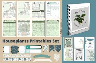 Houseplants Printables Set