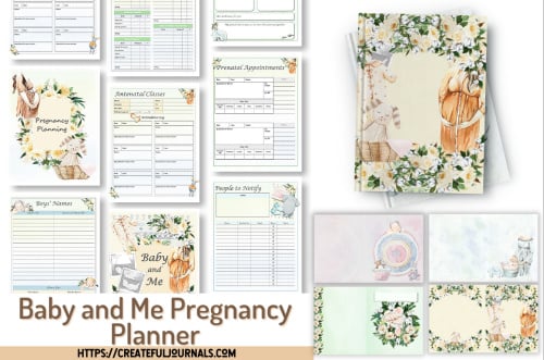 Add-On Baby and Me Pregnancy Planner