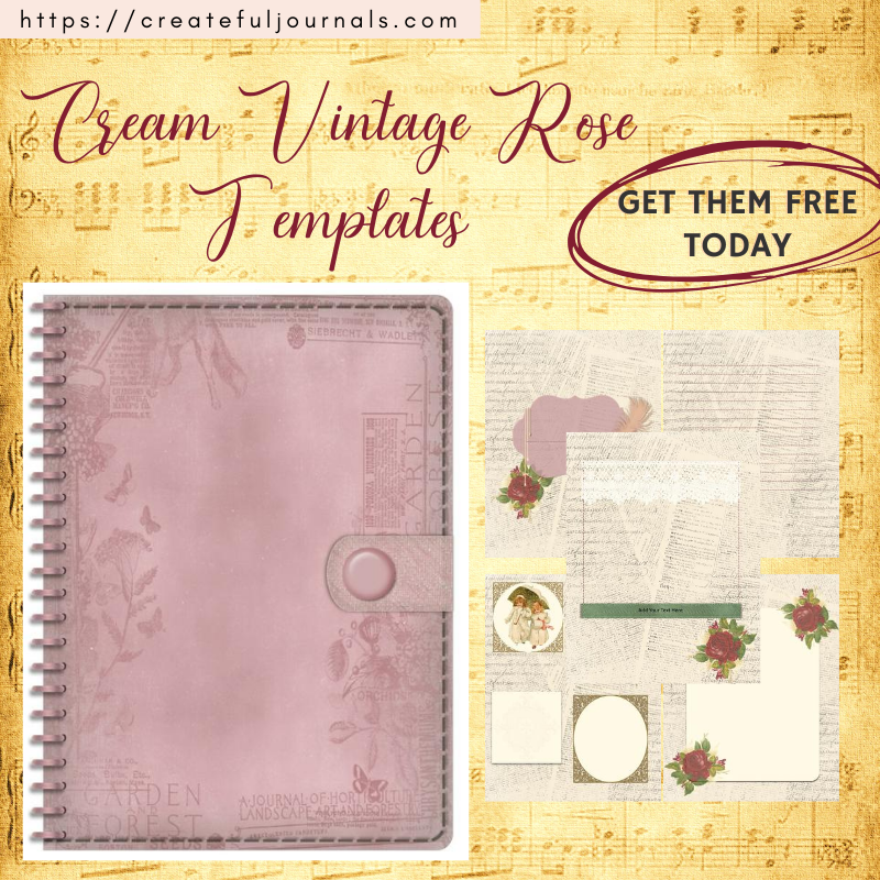 Cream Vintage Rose